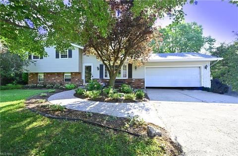 16083 Whitehead Rd, Lagrange, OH 44050 photo 1