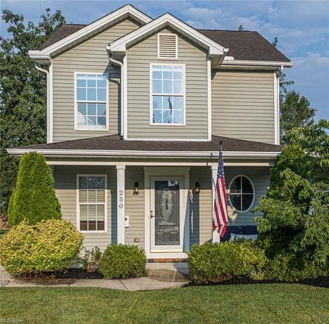 250 Olive St, Elyria, OH 44035 photo 1