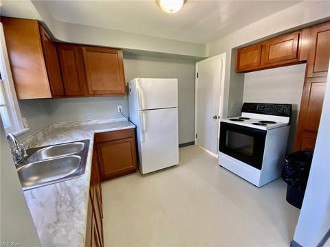 376 E 250th St, Euclid, OH 44132 photo 3