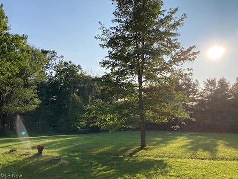 9825 Thwing Rd, Chardon, OH 44024 photo 30