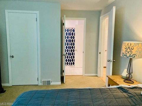 9825 Thwing Rd, Chardon, OH 44024 photo 20