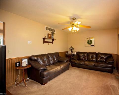 222 Pleasant St, Lagrange, OH 44050 photo 8
