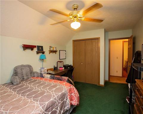 222 Pleasant St, Lagrange, OH 44050 photo 19