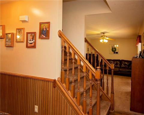222 Pleasant St, Lagrange, OH 44050 photo 7
