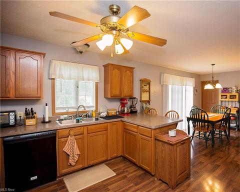 222 Pleasant St, Lagrange, OH 44050 photo 13