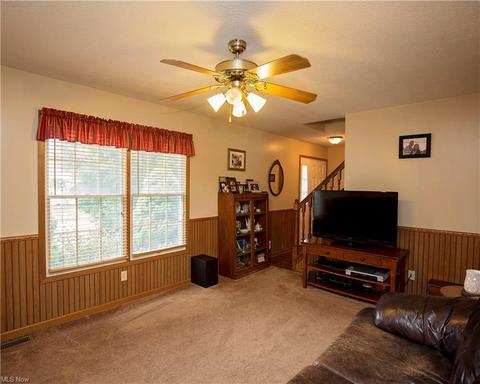 222 Pleasant St, Lagrange, OH 44050 photo 9