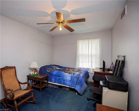 222 Pleasant St, Lagrange, OH 44050 photo 22