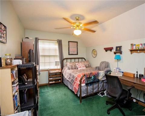 222 Pleasant St, Lagrange, OH 44050 photo 17