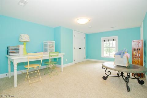 8853 Mentor Rd, Chardon, OH 44024 photo 26