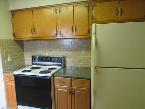 331 Beebe Ave, Elyria, OH 44035 photo 7