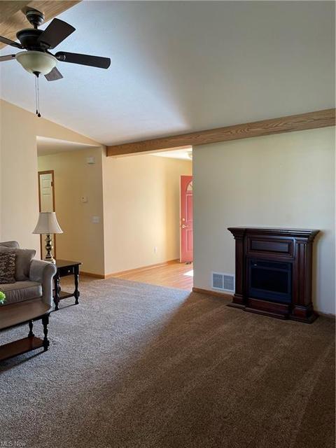 132 Forest View Ct, Creston, OH 44217 photo 8