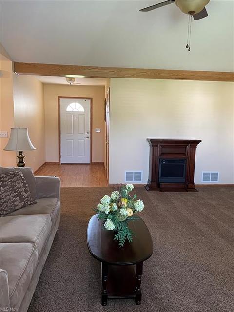 132 Forest View Ct, Creston, OH 44217 photo 7