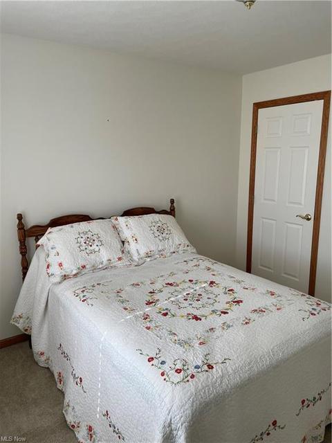 132 Forest View Ct, Creston, OH 44217 photo 15