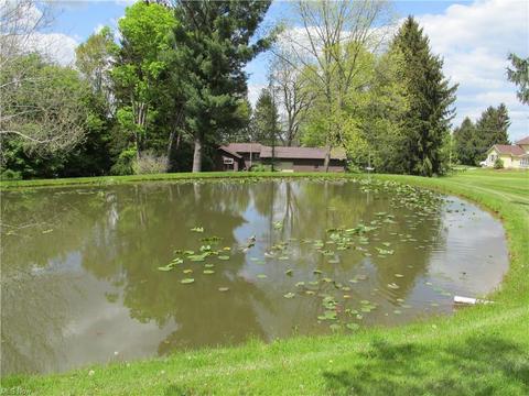 4628 Tallmadge Rd, Rootstown, OH 44272 photo 24