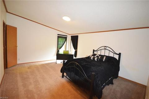 7025 Ledge Rd, Thompson, OH 44086 photo 22