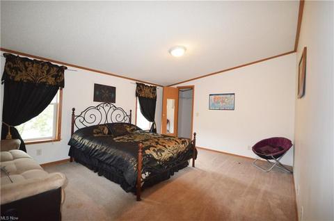 7025 Ledge Rd, Thompson, OH 44086 photo 21