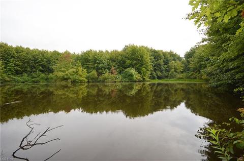 7025 Ledge Rd, Thompson, OH 44086 photo 13