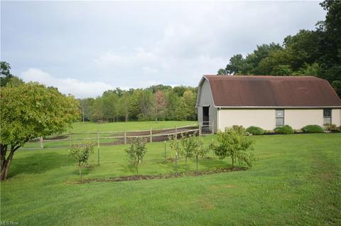 7025 Ledge Rd, Thompson, OH 44086 photo 10