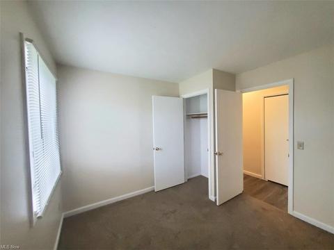 9882 Short Dr, Windham, OH 44288 photo 27