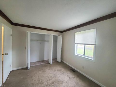 9882 Short Dr, Windham, OH 44288 photo 17