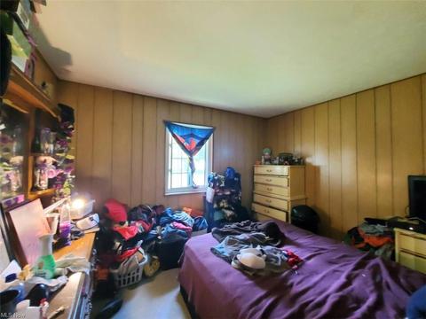 9888 Short Dr, Windham, OH 44288 photo 19