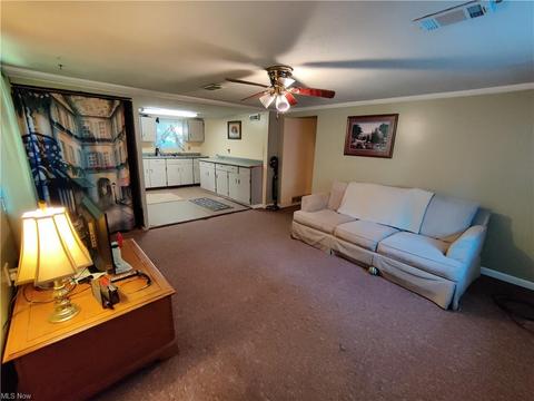 1060 Bruce Rd, Akron, OH 44306 photo 11