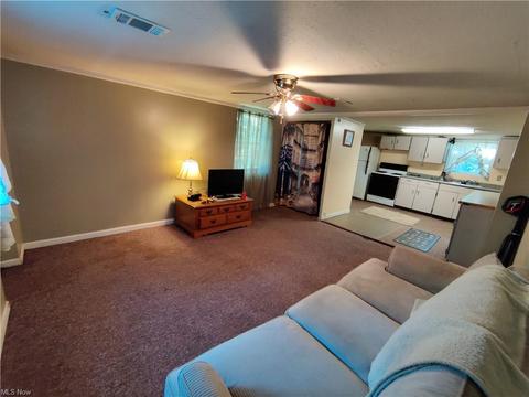 1060 Bruce Rd, Akron, OH 44306 photo 10
