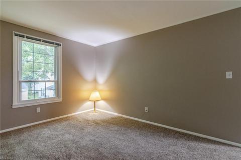 10 Valley Forge Ln, Elyria, OH 44035 photo 16