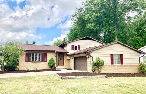 7306 Grant St, Mentor, OH 44060 photo 1