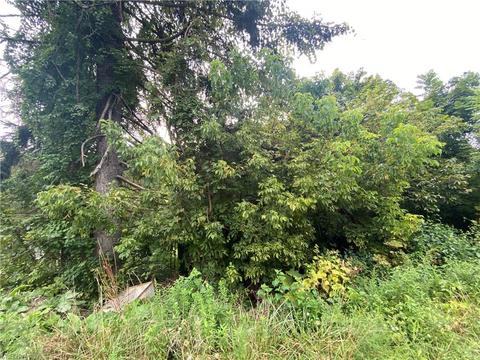 12 Ruth Ave, Wheeling, WV 26003 photo 1