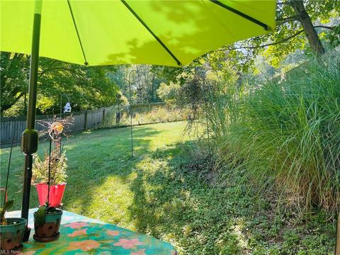 103 W 1st St, Minerva, OH 44657 photo 14
