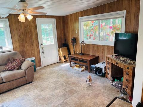103 W 1st St, Minerva, OH 44657 photo 18