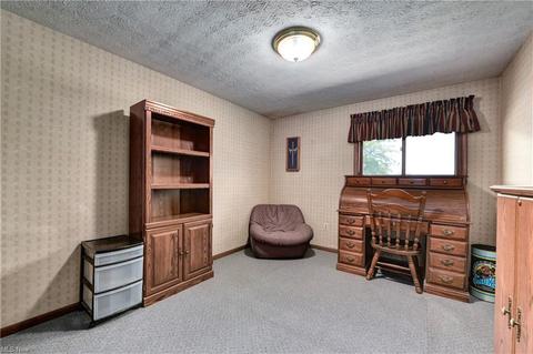 6809 Night Vis, Parma, OH 44129 photo 31