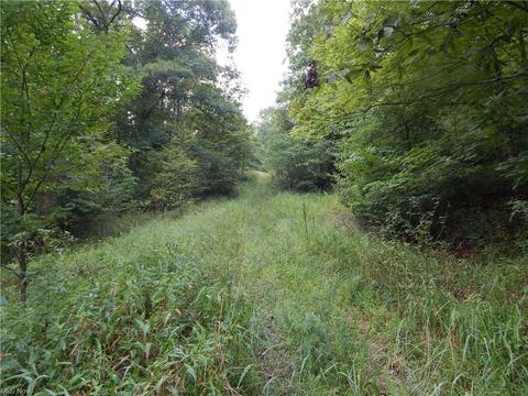 556 Goose Run Rd, Pullman, WV 26421 photo 31