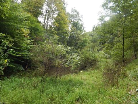 556 Goose Run Rd, Pullman, WV 26421 photo 29