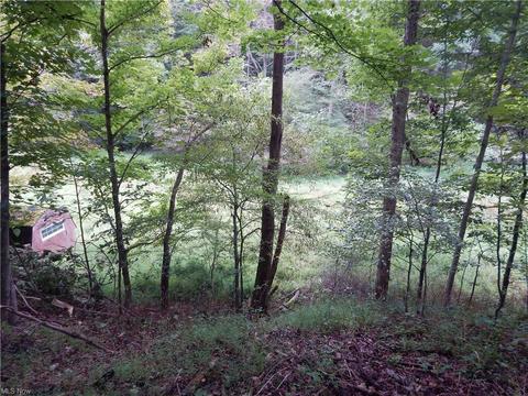 556 Goose Run Rd, Pullman, WV 26421 photo 30