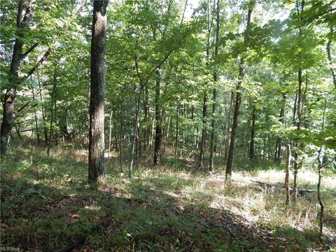 556 Goose Run Rd, Pullman, WV 26421 photo 34