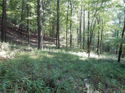 556 Goose Run Rd, Pullman, WV 26421 photo 33