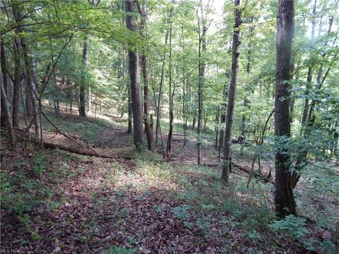 556 Goose Run Rd, Pullman, WV 26421 photo 32