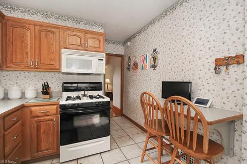 140 Cornell Ave, Elyria, OH 44035 photo 12