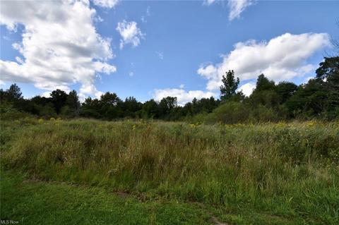 3351 Ninety Rd, Ashtabula, OH 44004 photo 7