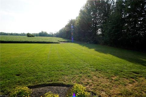 9311 Oberlin Rd, Elyria, OH 44035 photo 32