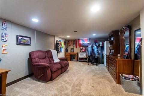 117 Maple Ave, Creston, OH 44217 photo 27