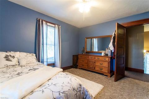 117 Maple Ave, Creston, OH 44217 photo 19