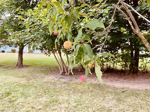 2187 James St, Ashtabula, OH 44004 photo 27