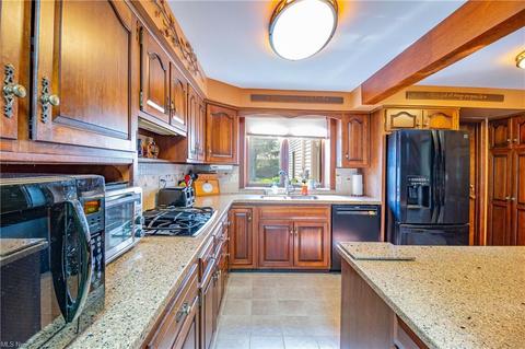 313 Hamilton Cir, Elyria, OH 44035 photo 10