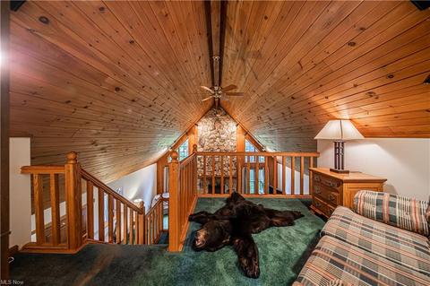 4113 River Rd, Perry, OH 44081 photo 18