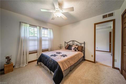 4113 River Rd, Perry, OH 44081 photo 14