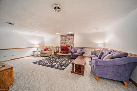 4113 River Rd, Perry, OH 44081 photo 20