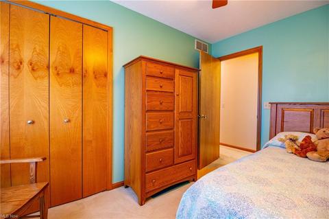210 Hendrix Blvd, Lagrange, OH 44050 photo 22